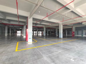 刷新義烏記錄，耗時300天 雙童智能化新工廠竣工，義烏制造業新地標驚艷呈現